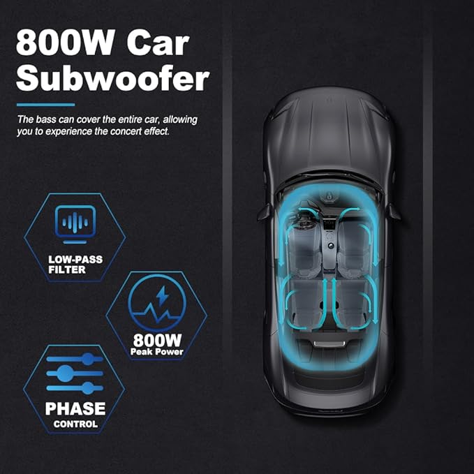 litillbuly 10 Inch Car Subwoofer,Slim Under Seat Car Subwoofer Powered, High/Low Level Input, Car/Truck Car Audio Subwoofer Sub Built in Amplifier 800W