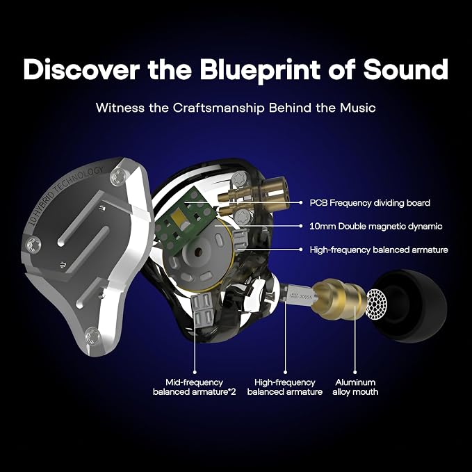 Linsoul KZ ZS10 Pro, 4BA+1DD 5 Driver in Ear Monitor, HiFi Wired Earbuds, Gaming Earbuds, Hybrid IEM Earphones with Stainless Steel Faceplate, Detachable Cable for Musician(Without Mic, Dark Black)