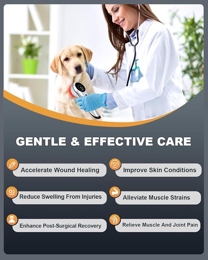 LLLT Cold Laser Therapy Device for Dogs/Human with Protective Magnetic Cover, Handheld Infrared Red Light Therapy for Target Joint & Muscle Pain Relief, 13pcs 650nm + 3pcs 808nm Pet Treatment Device