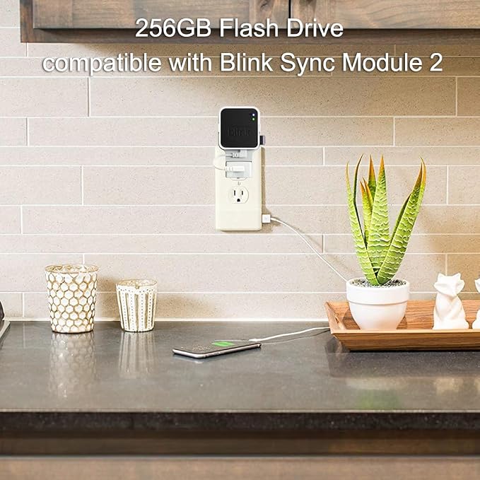 256GB USB Flash Drive with Outlet Wall Mount for Blink Sync Module 2, Space-Saving Mount Bracket Holder for Blink Outdoor/Indoor Security System (Sync Module 2 is NOT Included),1Pack