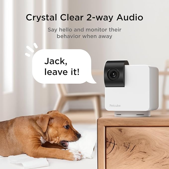 Petcube Pan-Tilt Cam 360° View – 1080p HD Dome Camera, WiFi Pet & Home Security, Complete 360° Surveillance, Night Vision, AI Alerts