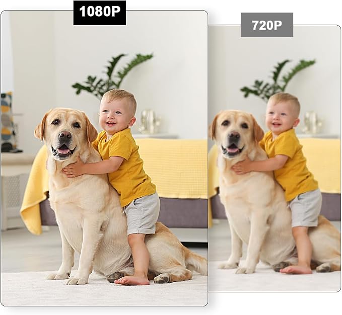 Indoor Security Camera in Bluetooth Speaker, 240° Viewing Angle,1080p Full HD WiFi Camera,Wireless Dome Cams Phone App,Motion Activated for Home Offices Store(2.4G /5G)