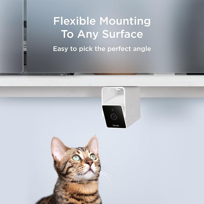 Petcube Cam The Pack of 2 | Indoor Wi-Fi Pet Security Camera with Phone App, 2-Way Audio and Video, Night Vision, 1080p HD Video and Smart Alerts