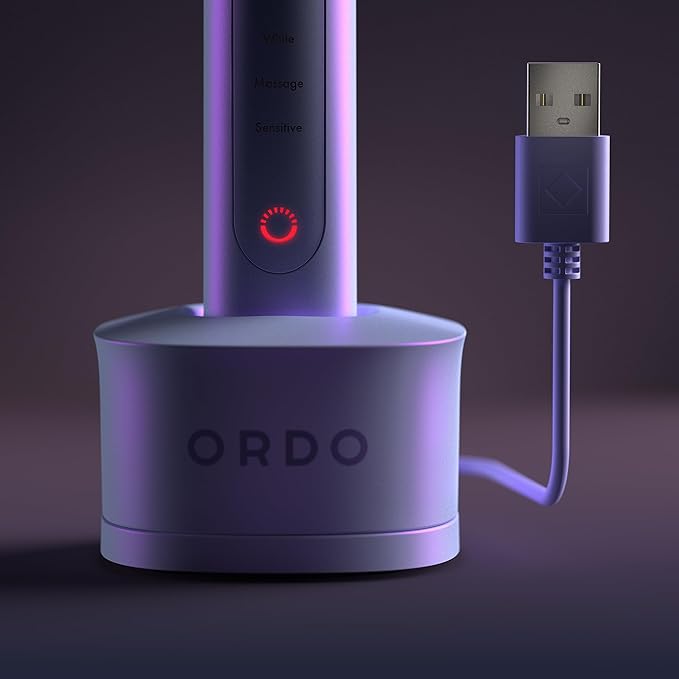 ORDO Sonic+ Electric Toothbrush with Case, Sonic Toothbrushes for Adults, Charging Travel Case, 4 Brushing Modes, Fast Rechargeable Battery, Silicone Polishing, USB Charger, Pearl Violet