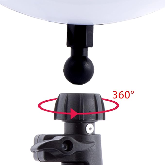 Canal Toys New So DIY TikTok Instagram YouTube Multicolored Ring Light with Green Screen and Phone Mount Tripod. Studio Creator 2 Influencer Video Creator Kit