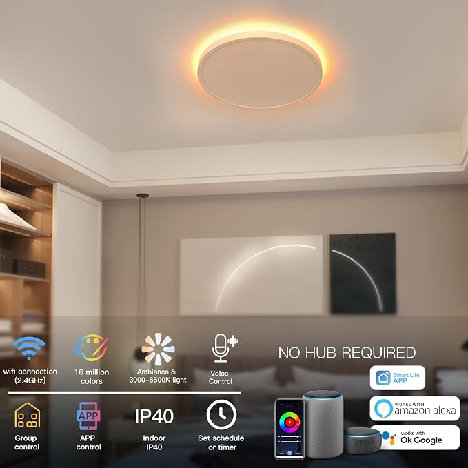 TALOYA Compatible with Alexa Flush Mount Ceiling Light, 12 inch RGB Ambient Light, Day Light 3000K~6500K Adjustable by App, equivs to 200W Traditional lamp for Living Room, Bedroom, 2-Pack