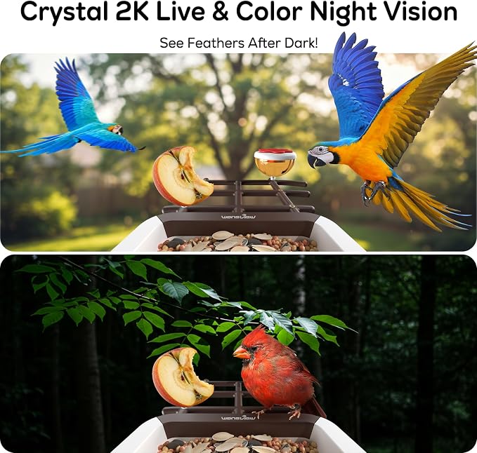 wansview Bird Feeder with Camera-Smart Bird Feeders for Outdoors Solar Powered, Birdhouse with Cam & Alert, 2K Live Video, AI Identify Species, Birdwatching Gift for Father's Day, F1, Brown, 2.4G WiFi
