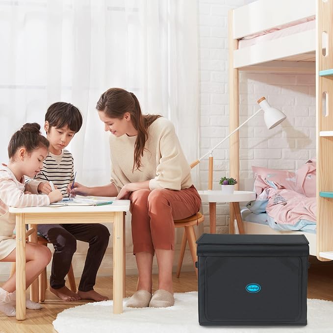 Large UVC Sanitizer Box with Ozone, Foldable Cleaner Bag with Timer, 36L/9.5gal UV Light Bulb Black Tote for Shoes, Cell Phone,Key