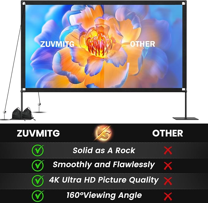 Projector Screen