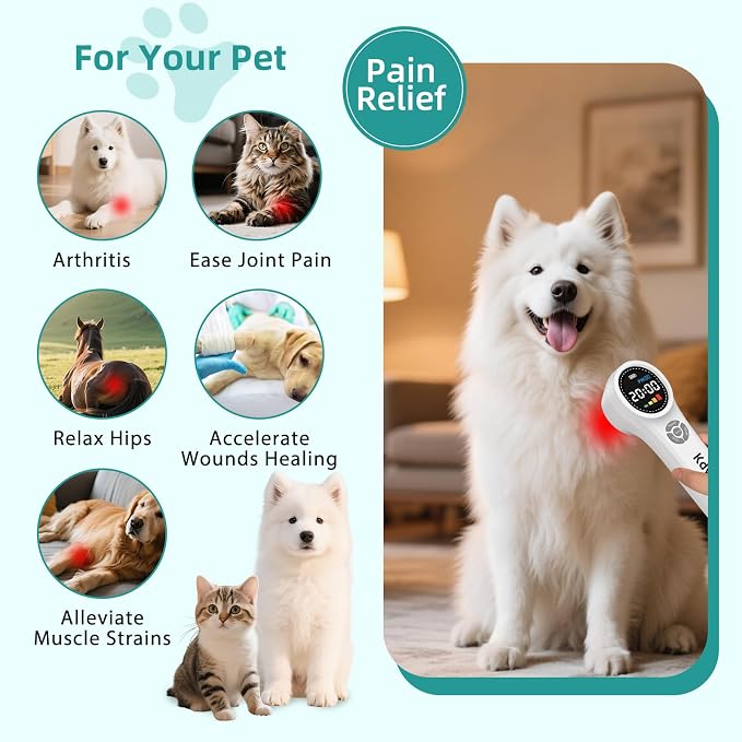 Cold Laser Therapy Device for Dogs, 16pcs 660nm & 4pcs 810nm & 4pcs 980nm Infrared Red Light Therapy Machine for Pain Relief, Arthritis, Spinal, Promote Blood Circulation, for Pets