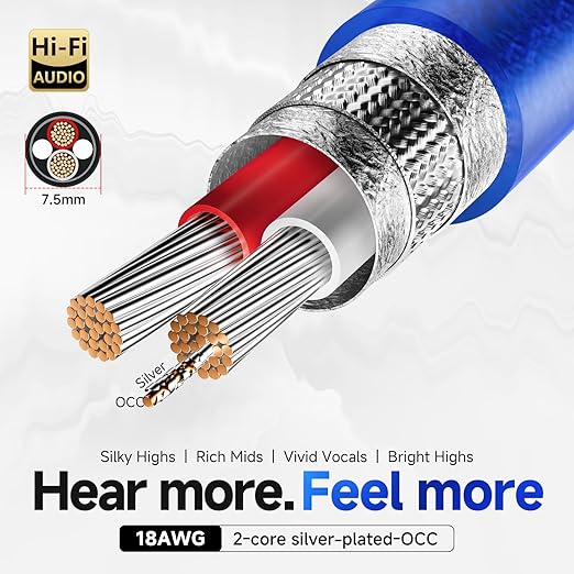 TODN Audiophile RCA Cables with Silver-Plated-OCC, Triple Shielded, 1.64ft | Treble Resolution, Noise Reduction, RCA Male to RCA Male, 24K Gold-plated Plug, Left and Right Channel
