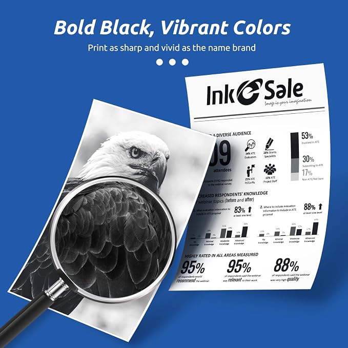 INK E-SALE 148A Toner Cartridge Black 4001n 4101fdw (with Chip) Compatible Replacement for HP 148 148A 148X W1480A W1480X for HP Pro MFP 4101fdw 4101fdn 4001dw 4001dn 4001n Printer (2 Pack)