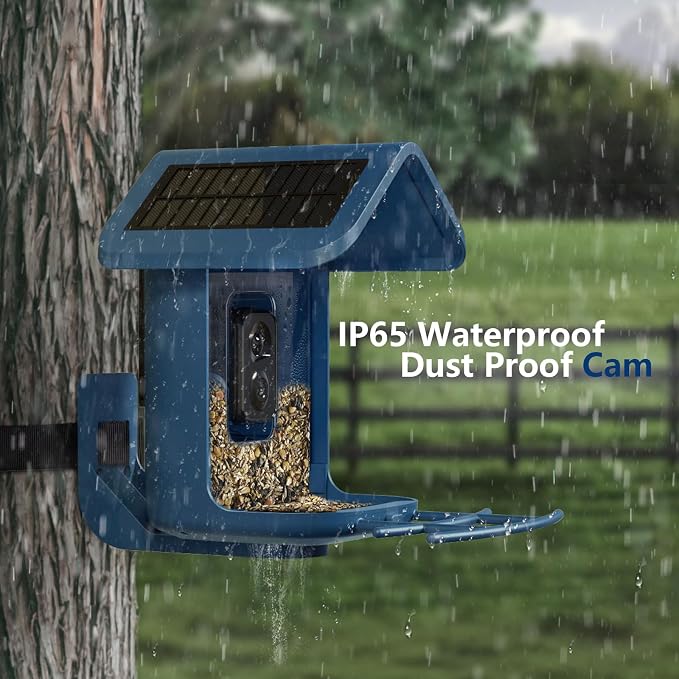 Bird Feeder with Camera Solar Powered : Smart Camera Bird Feeder 2K Live Feed Cam for Outdoor Backyard - Ai Identify Auto Capture Videos Pictures, Gifts for Birdlover Mom Dad, 2.4GHz WiFi