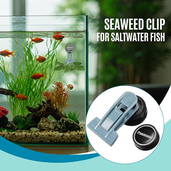 Blulu 1 Pcs Magnetic Seaweed Feeding Clips Saltwater Aquarium Tank Accessories Algae Magnet Seaweed Feeder for Fish and Aquatic Pets, Automatic Fish Feeder