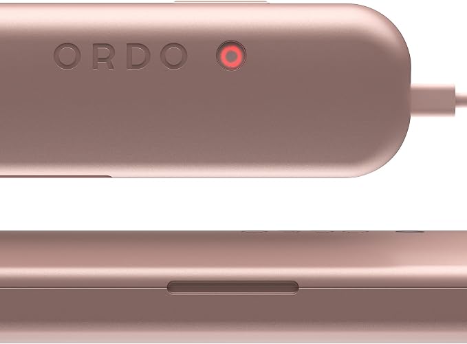 ORDO Sonic+ Electric Toothbrush with Case, Sonic Toothbrushes for Adults, Charging Travel Case, 4 Brushing Modes, Fast Rechargeable Battery, Silicone Polishing, USB Charger, Rose Gold