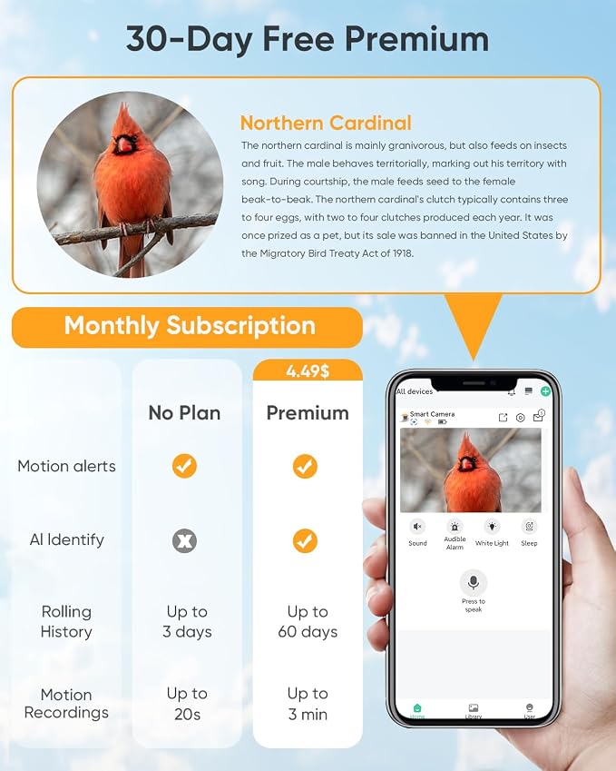 Bird Feeder with Camera Solar Powered: Smart Hummingbird Feeder for Backyard Tree - 2K Live AI Identify Auto Capture Bird Video - WiFi Bird Watching Feeders Gift for Mom Dad