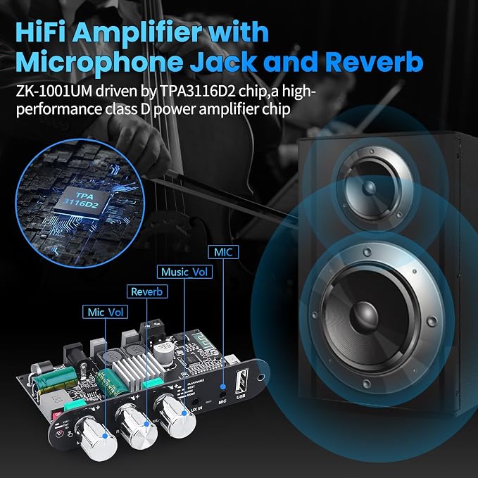 Bluetooth5.3 Mini Amplifier Board 100W Mono Power Amp with TWS Box, Karaoke Audio Amps Module with Boost for Home/Outdoor DIY Speakers, DC 9-24V, MIC and Reverb, Supports BT/USB/AUX Inputs