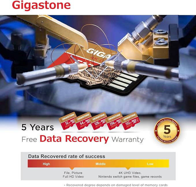 【5-Years Data Recovery】 GIGASTONE 256GB Micro SD Card, 4K Camera Pro, A2 V30 for Smartphone, Gopro, Action Cams, 4K UHD Video, Nintendo-Switch Compatible, Up to 100MB/s, UHS-I U3 C10 with Adapter