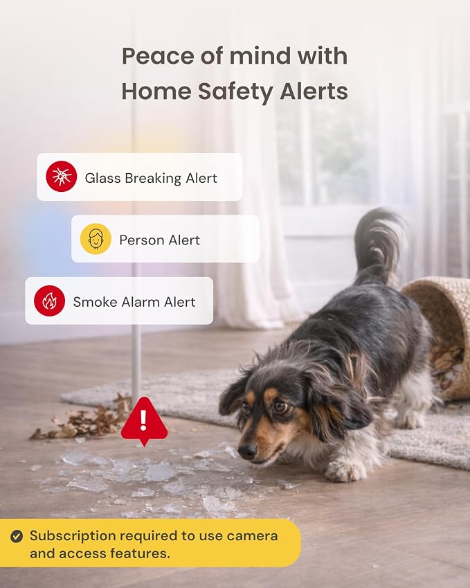 Furbo 360° Dog Camera + Mini 360° Cam [New Subscription Required at Setup] 2-Camera Bundle Nanny Subscription: Dog Safety Alerts, Pet Camera with Speaker, Phone App & Night Vision