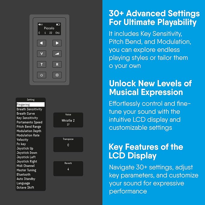 Carry-on Digital Wind Instrument 2 Pro - Lightweight and Rechargeable with 65 Instrument Voices - Built-In Speaker, Intuitive LCD Interface and Bluetooth Connectivity for Performance On-The-Go