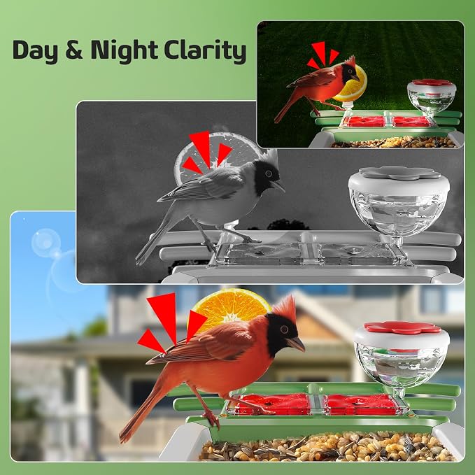 Bird Feeder with Camera, 2K HD Smart Birds Feeder with Solar Panel, AI Bird-Recognition, Instant Motion Alerts, Auto Capture BirdVideos, Outdoor Birdhouse Feeder Gift for Bird Lovers