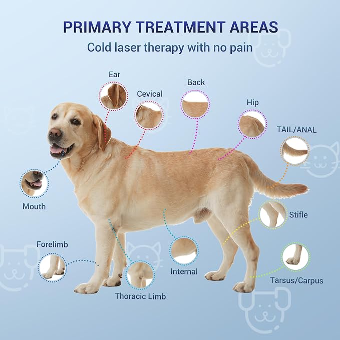 Mibest Cold Laser Therapy Device for Vet - Red Light Therapy for Dogs and Cats - Infrared Light Therapy Targets Joint and Muscles - Pain Relief, Arthritis, Spinal, Wound Healing (4x808nm + 12x650nm)