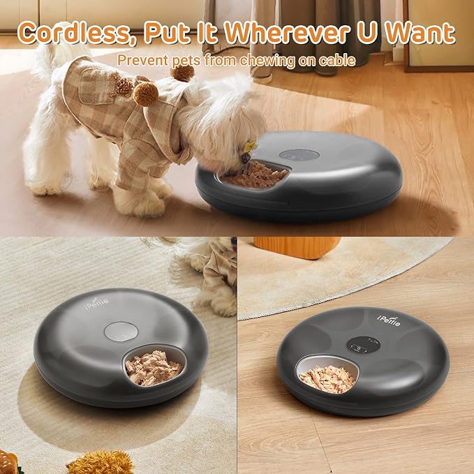 iPettie Donut Frost 6 Meal Cordless Automatic Pet Feeder, Dry & Wet Food Automatic Cat Feeder with Two Ice Packs, Rechargeable Massive Battery, Programmable Timer, Classic Black
