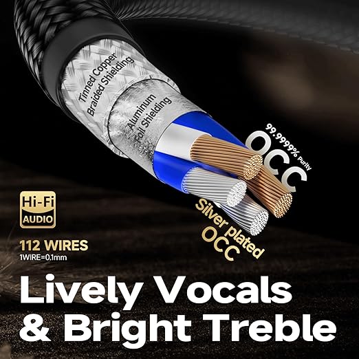 TODN Audiophile Silver-Plated RCA Cables 4.9ft Dual Shielded for HiFi Audio | 2-core Silver-plated-OCC+2-core-OCC, 24K Gold-plated Plug, Carbon Fiber Shell, RCA to RCA, Left and Right Channel