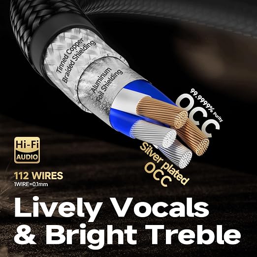 TODN 1.64ft Silver-Plated RCA Cables Audiophile Dual Shielded for Turntable | 2-core Silver-plated-OCC+2-core-OCC, 24K Gold-plated Plug, Carbon Fiber Shell, RCA to RCA, Left and Right Channel