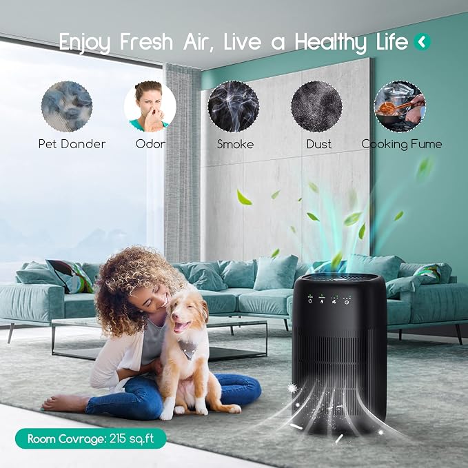 Afloia Air Purifier and Dehumidifier in 1, Air Purifier with Efficient Filter, Small Dehumidifier Combined with Air Cleaner, Remove Pet Odors Dust Smoke for Home, Bedroom, Bathroom