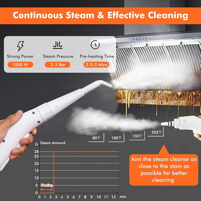 LDAILY Handheld Steam Cleaner, 1000W Portable Pressurized Steamer, Multipurpose Steam Cleaning Machine for Kitchen, Garment, Floor, Window, 300ml (10.2oz) Water Tank, 10 Accessories Included, Portable Heavy Duty Steamer (Green)