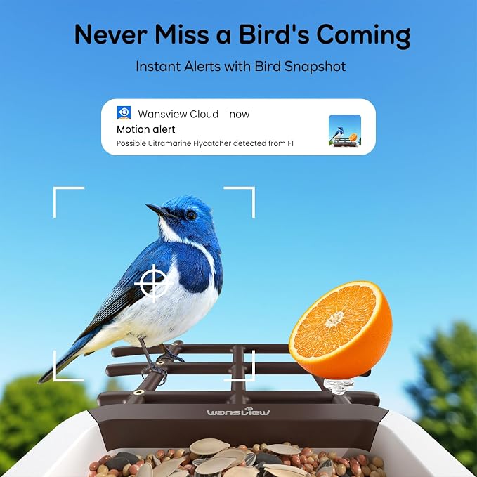 wansview Bird Feeder with Camera-Smart Bird Feeders for Outdoors Solar Powered, Birdhouse with Cam & Alert, 2K Live Video, AI Identify Species, Birdwatching Gift for Father's Day, F1, Brown, 2.4G WiFi