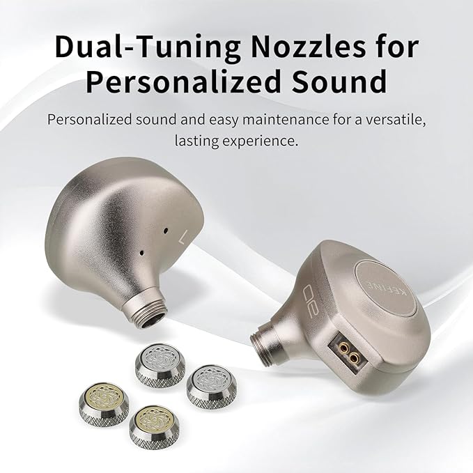 Delci AE Hi-Fi IEMs, 10mm DLC+PU Dynamic Driver in-Ear Monitors with Interchangeable Tuning Nozzles, CNC Aluminum Wired Earphones, Detachable Hybrid 164-Core Silver-Plated Cabl (Silver, 4.4mm)