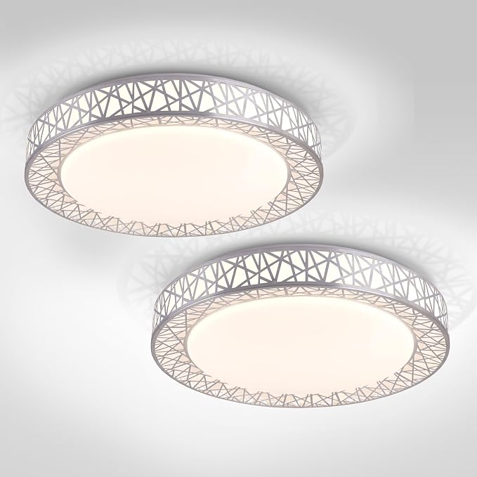 ASD 20 Inch LED Flush Mount Ceiling Light Fixture for Bedroom, 42W 2474LM 5CCT 2700K-5000K, Dimmable Lights, Dining, Living Room, Kitchen Lamps, Modern Home Lighting Fixtures, Nickel, ETL, 2 Pack