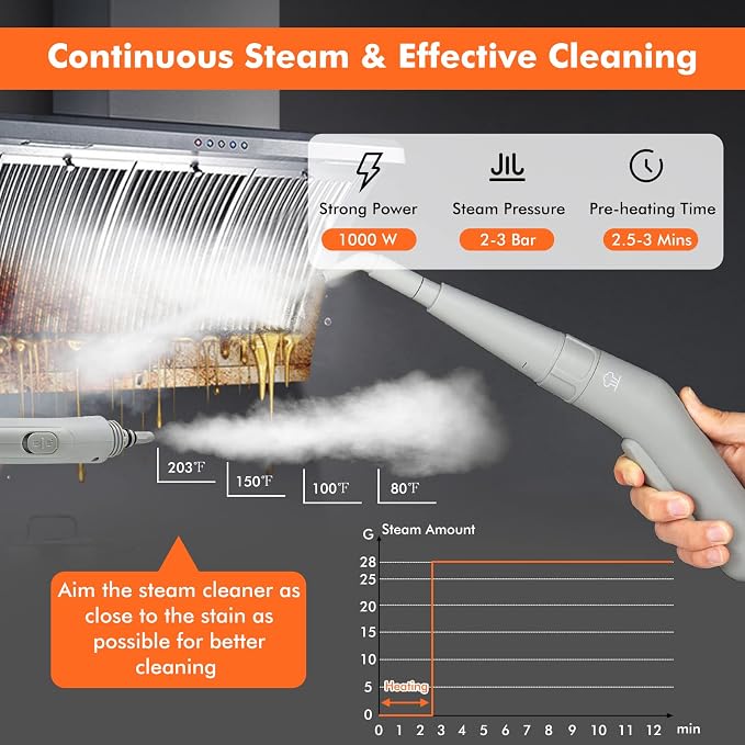 LDAILY Handheld Steam Cleaner, 1000W Portable Pressurized Steamer, Multipurpose Steam Cleaning Machine for Kitchen, Garment, 300ml (10.2oz) Water Tank, 10 Accessories Included, Portable Steamer (Grey)
