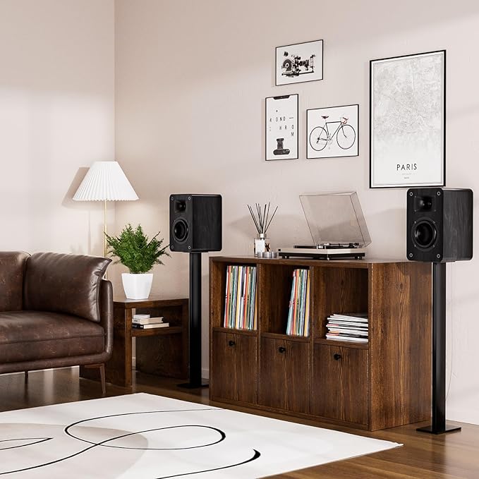 RIOWOIS Passive Bookshelf Speakers for Record Player, Stereo Speakers with 4 Inch Woofer and Silk Dome Horn Tweeter for Turntable, Surround Sound System,PC and TV, Wall Mountable.