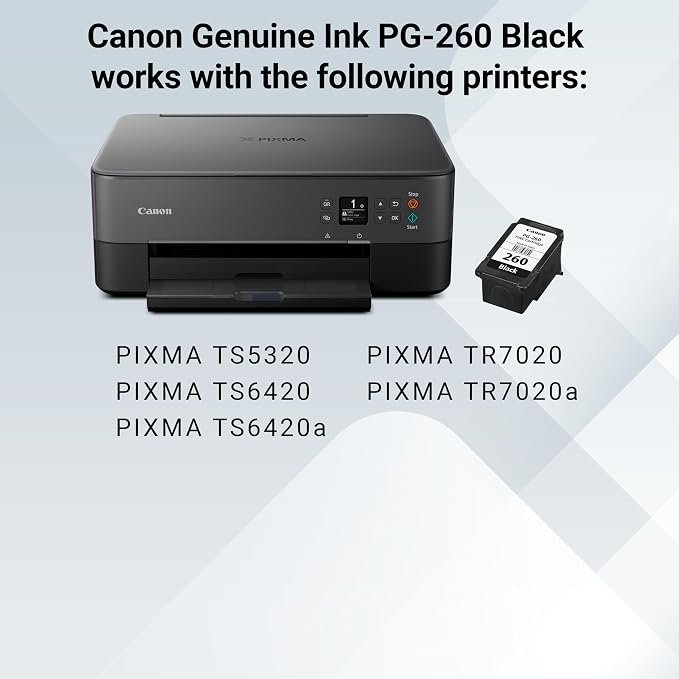 Canon PG-260 Genuine Black Ink Cartridge, Compatible with TS5320/6420/6420a,TR7020/7020a (Pack of 2)
