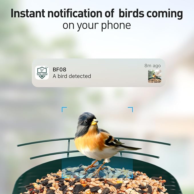 Soliom- Bird Feeder with Camera, 5W Solar Powered, AI Identify Species, Smart Wild Bird Watching, 2K Live View, Instant Arrival Alerts,Large 2.7L Seed Capacity, Metal Squirrel Chew-Proof - BF08 Green