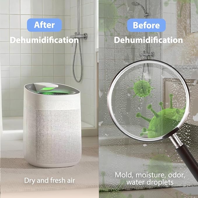 1000ml Dehumidifier w/Air Purifying Function, True HEPA Filter, Auto Shut off, Ultra-Quiet, Ideal for RV Closets Bathrooms Q9 1 Filter