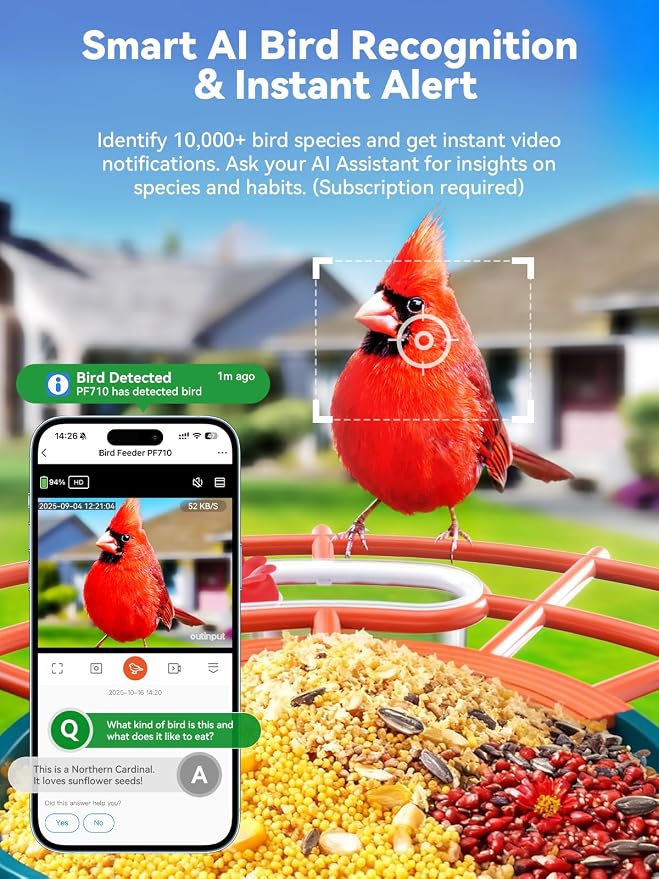 outinput 2.5K Smart Bird Feeder with Camera Solar Powered, AI Bird Species Identification, Squirrel Proof, Real-Time Video Notifications, Weatherproof, Ideal Gift for Family and BirdLovers, Navy Blue