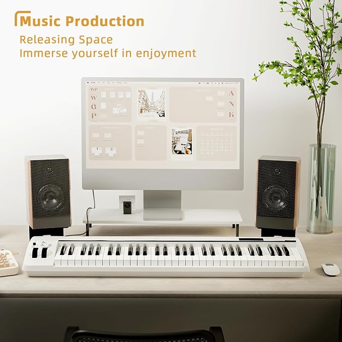 Desktop Speaker Stands, Metal Bookshelf Speaker Stands with Vibration Absorption Pads, Studio Monitor Stand Support 30lbs, 7° Incline Computer Speaker Stand, Better Audio Experience, Black