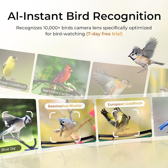 TT Nature Bird Feeder with Camera, Smart Bird Feeder with Heavy-Duty Chew-Proof Metal Casing, Solar Powered, AI Identify & Instant Notifications, 3.2L Large Capacity, Ideal Gift for Mother‘s Day