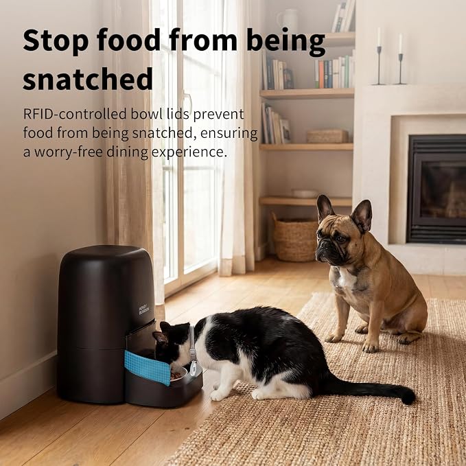 HoneyGuaridan RFID Automatic Cat Feeder with Collar Tag-Activated Personalized Meal, 4.6L 5G WiFi APP Control Cat Food Dispenser with Diet Tracking and Anti-theft for Multi Pet Home and Different Diet