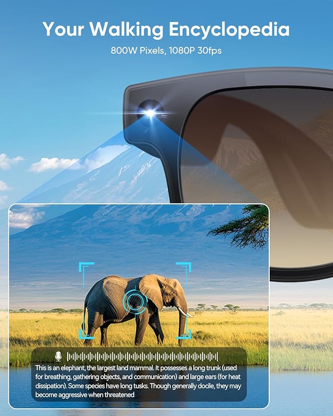 CJkao Smart Glasses with Camera for Men, Video Recording, Voice Recording, Voice Assistant Control, Bluetooth Music, AI Glasses for Teenager