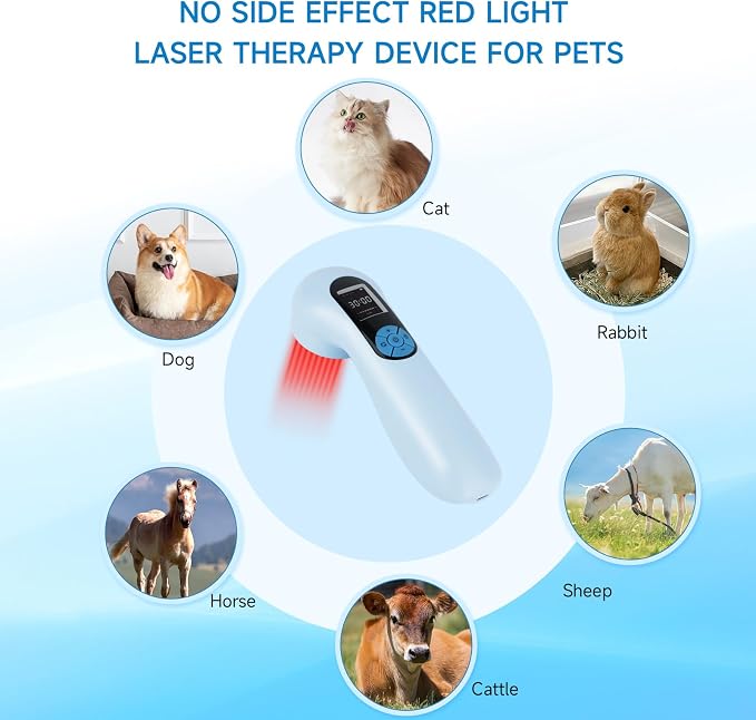 5000mAh Pro Cold Laser Therapy Device for Dog lllt low level Nir Red Light Therapy Machine Pet Pain Relief 808/650nm Handheld Vet Infrared Laser Wand for Wound Healing Cat Muscle Relax Treatment