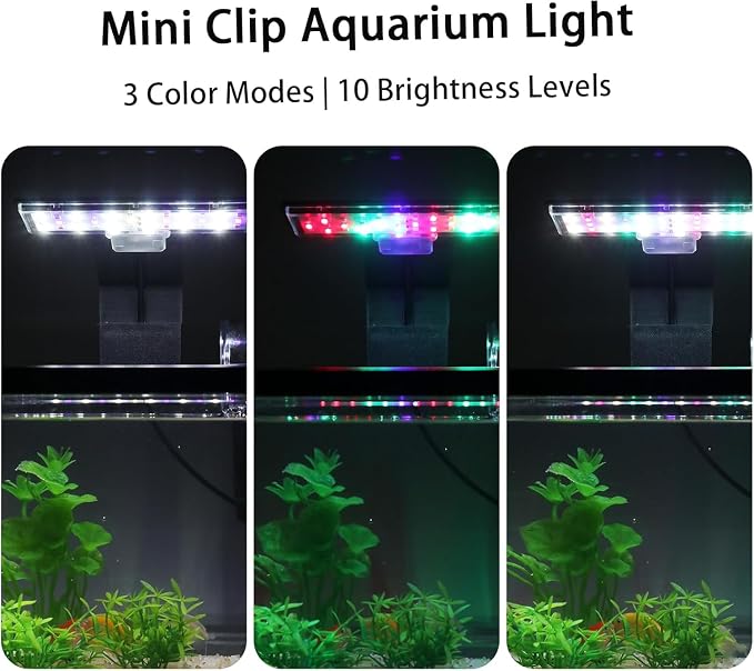 Aquarium Starter Kit Complete Small Fish Tank with LED Light & Quiet Filter, 1.7 Gallon Fishtanks for Betta, Mini Desktop Acrylic Tank, Ideal for Shrimp Guppy Jellyfish Goldfish, Office, Home, or Gift