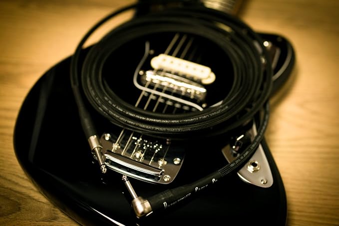 Rattlesnake Cable - 10 Foot Standard Black Guitar Instrument Cable Straight to Right Angle 1/4-Inch plugs