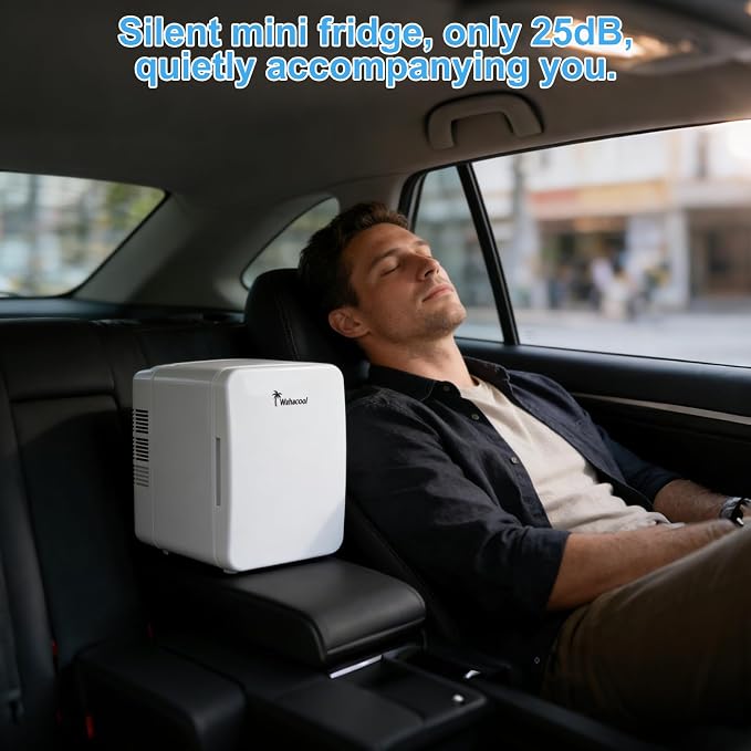 Mini Fridge, 4L/6 Can Portable Personal Refrigerator - Cooler and Warmer, Ideal for Car Use and for Skin Care, Cosmetics, Beverage, Food, Great for Bedroom, Office, Dorm