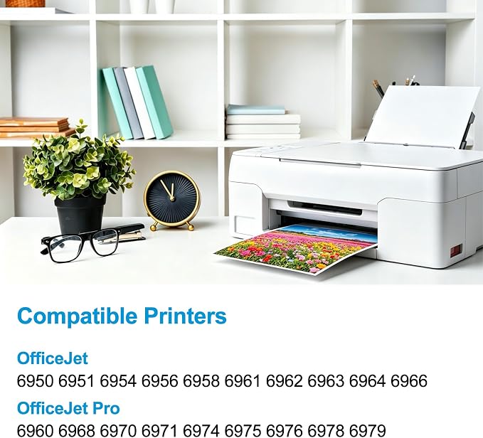 902XL Black Ink Cartridges Replacement for HP 902 Black Ink Cartridges, Compatible with HP Printer OfficeJet Pro 6968 6978 6950 6958 6979 6962 6954 6971 6974 6975, Equipped with Upgraded Chip (2 Pack)