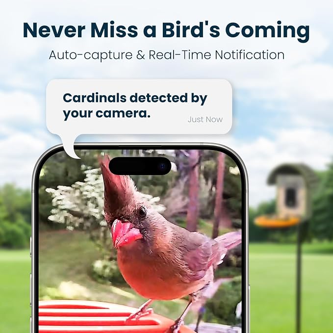 Smart Bird Feeder with Camera, 2.5K UHD Solar Powered WiFi Bird Watching Camera, AI Bird Species Identification, Instant Alerts, IP66 Waterproof Outdoor Wild Bird Feeder, Gift for Dad, Green